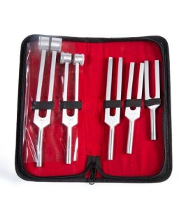 Estuche de diapazones c/ 5 piezas