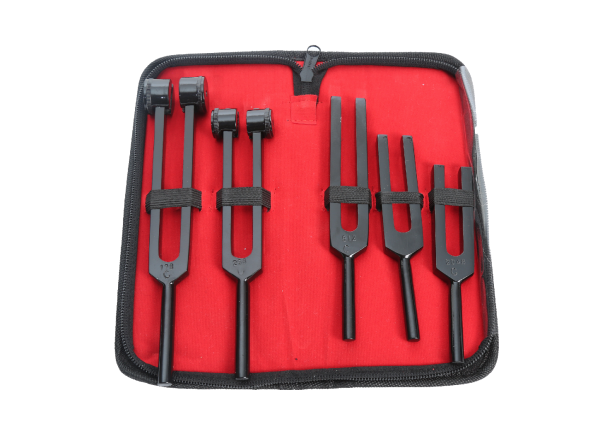 Estuche Diapasón 5pz